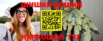 ешки Партизанск