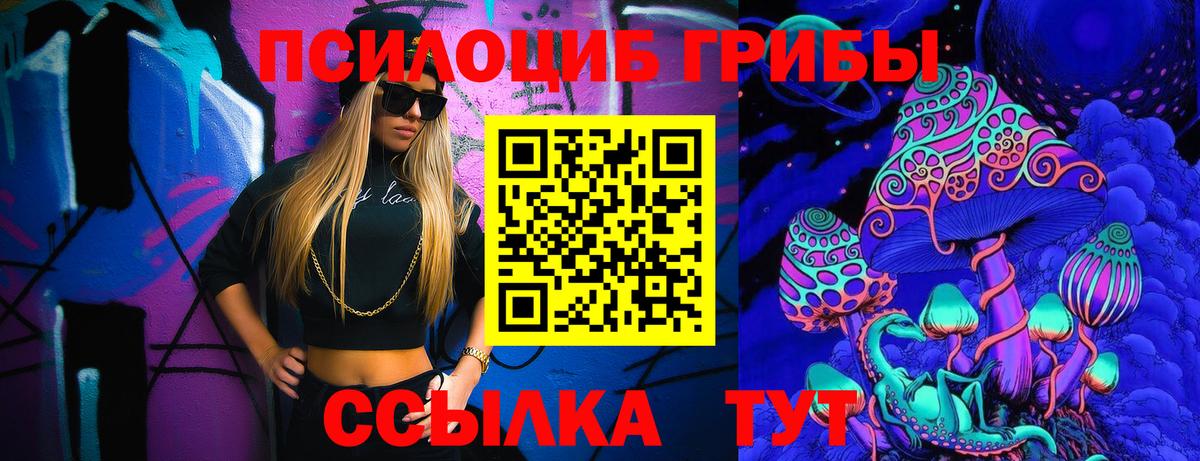 Галлюциногенные грибы Cubensis  Вход с VPN  Россия 