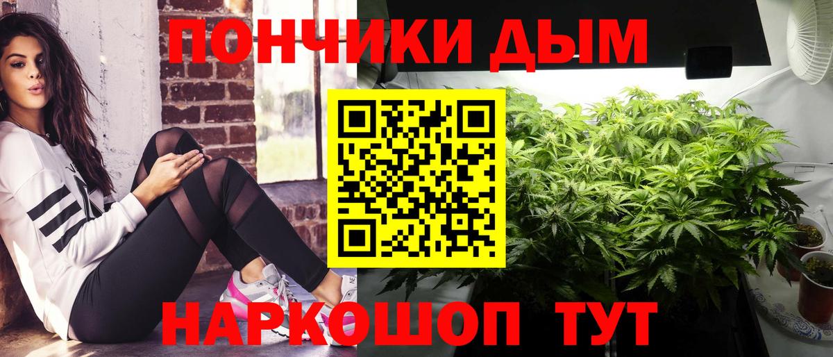 Бошки марихуана Ganja  Шишки марихуана план  Вход с VPN  Бошки марихуана сатива  Россия 